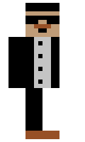 TGA minecraft skin