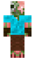 DanplazMC minecraft skin