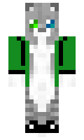 DVSoftware minecraft skin