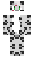 DaroLumi minecraft skin