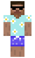 722 minecraft skin