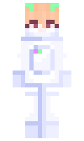 5aa5403e48c699 minecraft skin