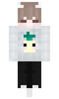 5ab794749c1b8c minecraft skin