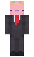 solvitNOW minecraft skin