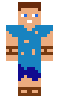 5ada4b8222744e minecraft skin