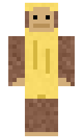 yok minecraft skin