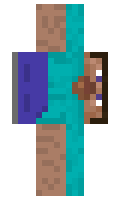 Sasalka minecraft skin