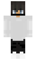 5b06684effd849 minecraft skin