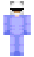 5b1eeed250e7d1 minecraft skin