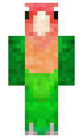 5b205b4505a37d minecraft skin