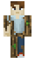 Debrik minecraft skin