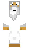 crash minecraft skin