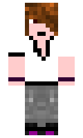sef100 minecraft skin