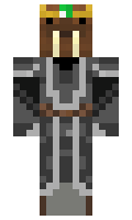 MineWarrior98 minecraft skin