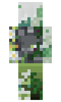 w4rry minecraft skin