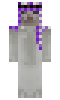 G502Lightspeed minecraft skin