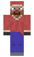 IndieGame minecraft skin