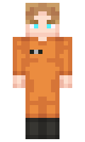 fjinok minecraft skin