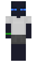 MrEnder minecraft skin