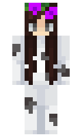 hpf minecraft skin