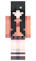 lArIees minecraft skin