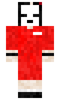 kfsissle minecraft skin