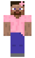 5c0f116a24a193 minecraft skin