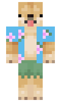 5c38bf7579d42e minecraft skin