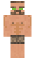 Petya minecraft skin