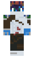 Steeeeeee minecraft skin