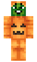 Izw minecraft skin
