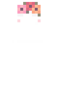 HANIP minecraft skin