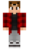 blok minecraft skin