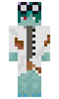 5c87b4520c6252 minecraft skin