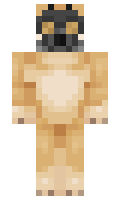 veragaux minecraft skin