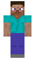 5cc7bc65992ca6 minecraft skin