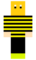 DragonBees minecraft skin