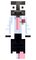 5cdcd391d890dd minecraft skin