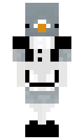 Stoltti minecraft skin