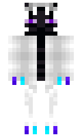 Voidlessduke minecraft skin