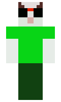 5d8ea1a3a3e5e4 minecraft skin