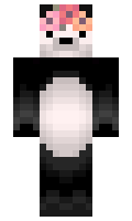 PeculiarPaanda minecraft skin