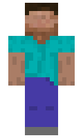 artum minecraft skin