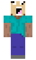 flebsy minecraft skin