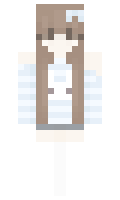 zvww minecraft skin