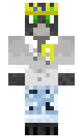 TheAngleDragon minecraft skin