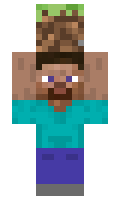jannus21 minecraft skin