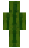 5ea49d1906c28e minecraft skin