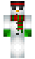 frostymax minecraft skin