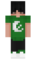 WarriorXArya minecraft skin